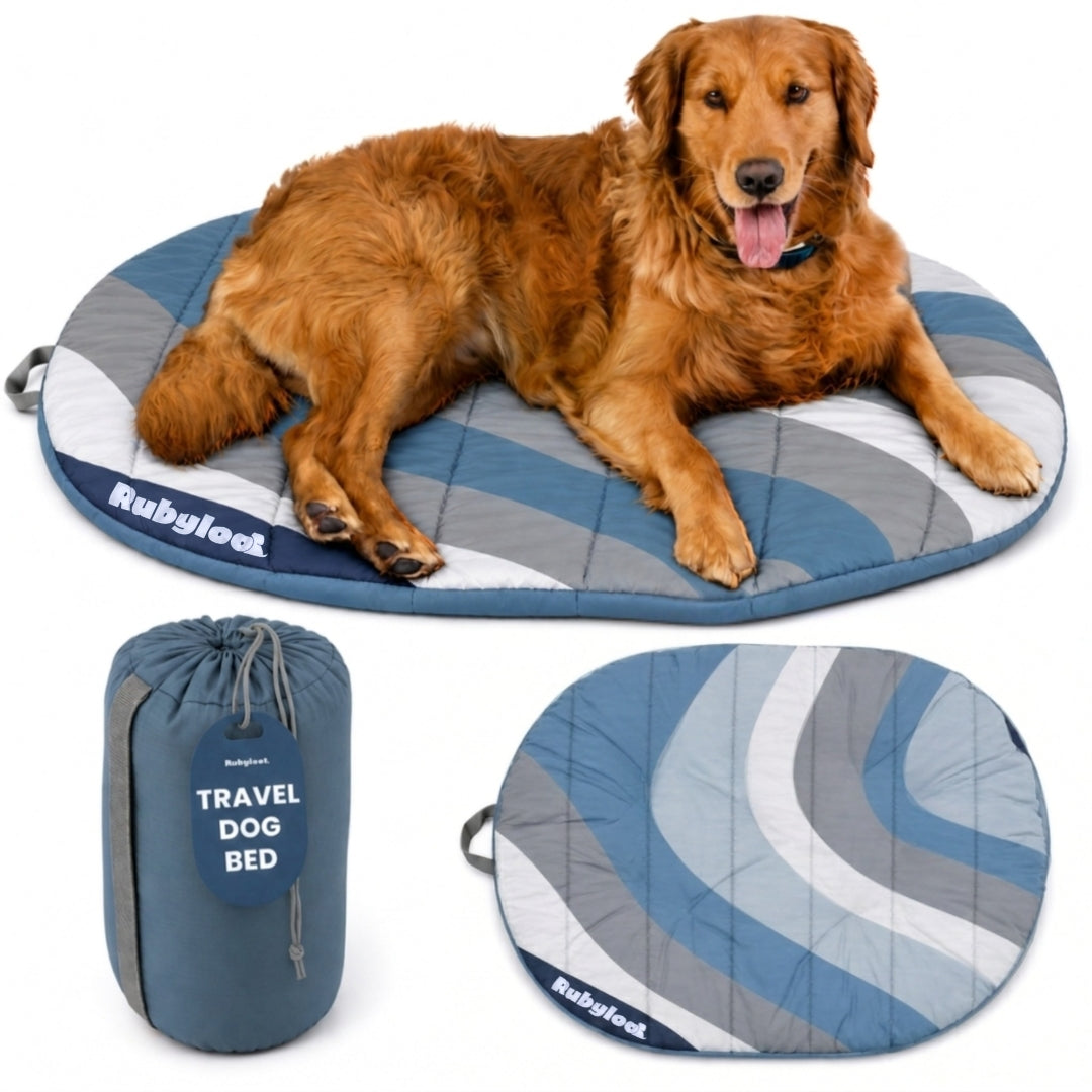 Compact Travel Dog Bed