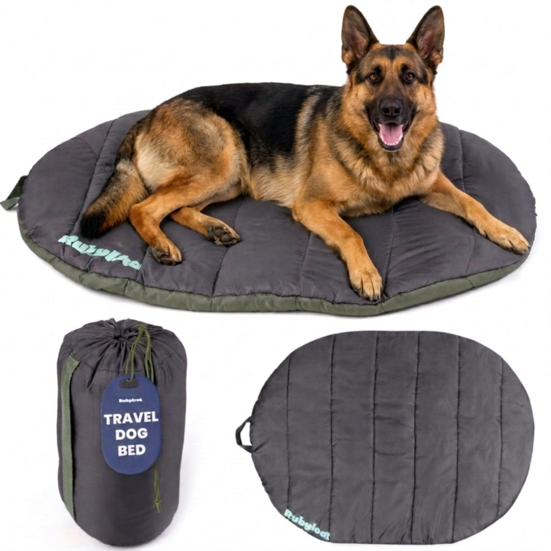 Compact Travel Dog Bed