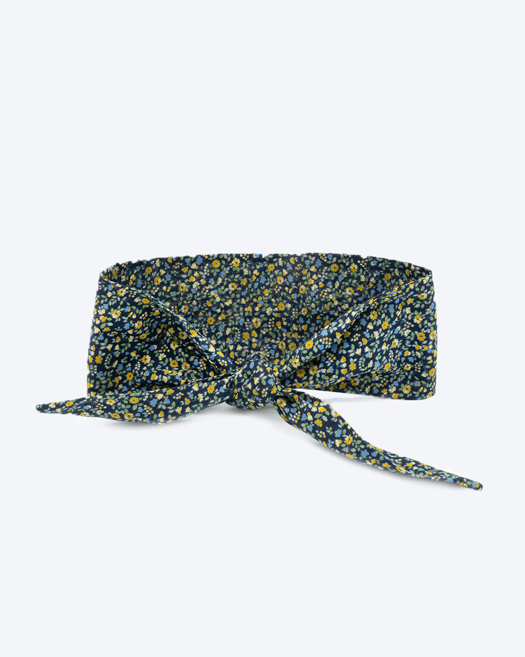The Adventure Necktie