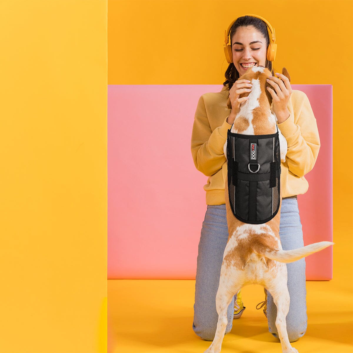 MaxAire Mesh Dog Vest Harness - 2 Hook & Loop Patch Fasteners