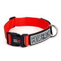 Nylon Dog Collar: 2 Patch Fasteners