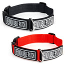 Nylon Dog Collar: 2 Patch Fasteners
