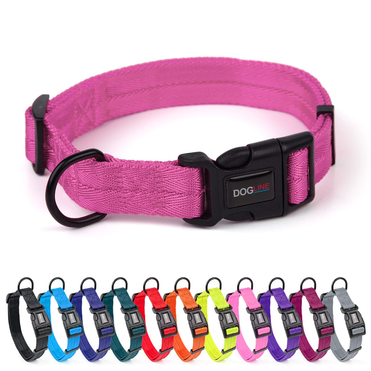 Traditional Dog Collars, Leashes & Harnesses