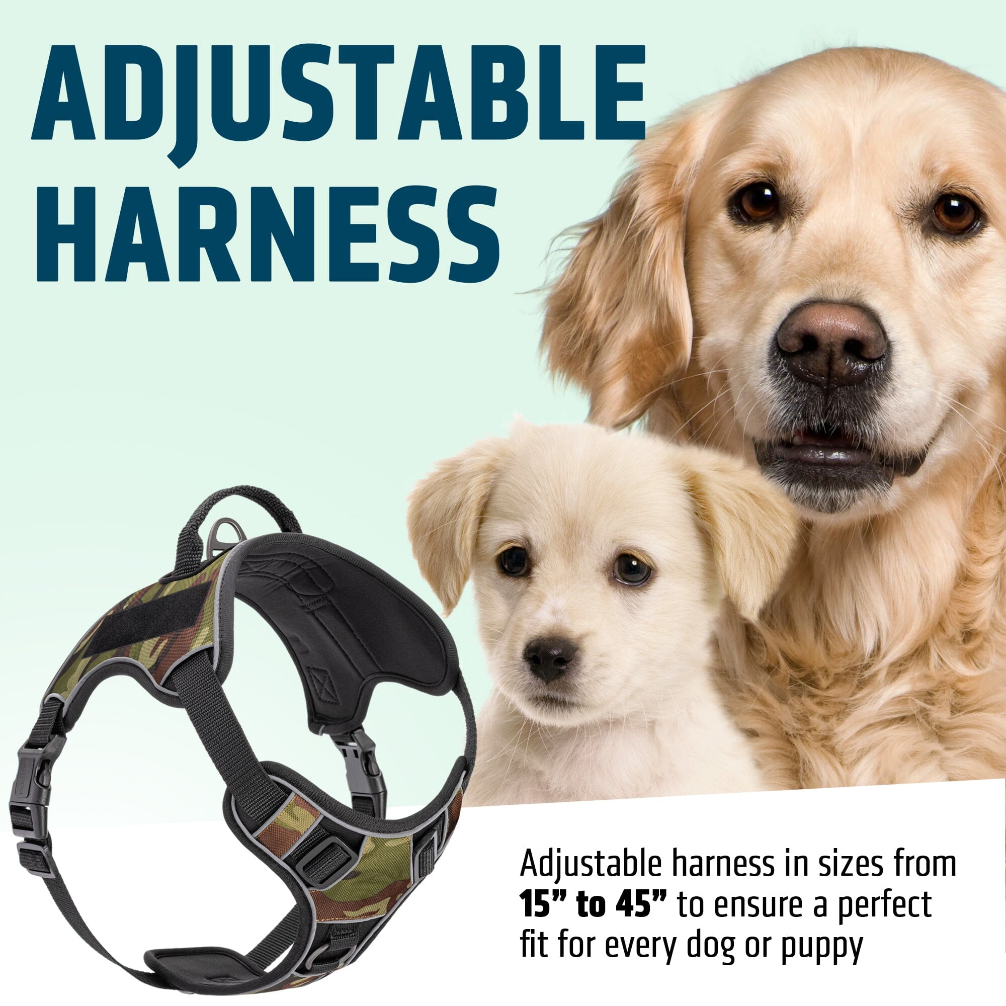 Quest No-Pull Dog Harness