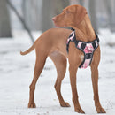 Quest No-Pull Dog Harness