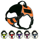 Quest No-Pull Dog Harness