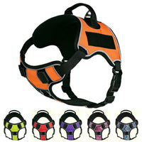 Quest No-Pull Dog Harness