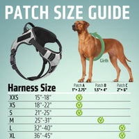 Quest No-Pull Dog Harness