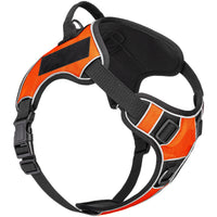 Quest No-Pull Dog Harness