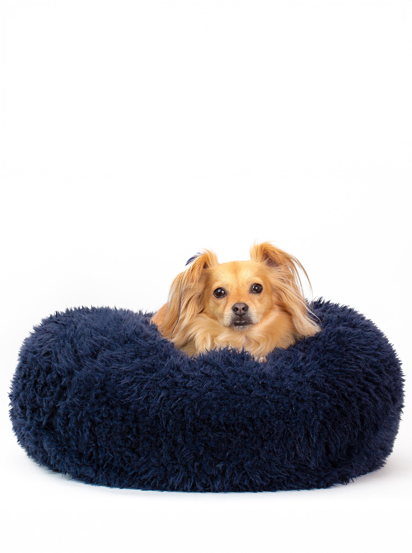 Pod Dog or Cat Bed