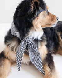 The Classic Necktie