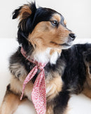 The Adventure Necktie