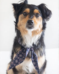 The Classic Necktie