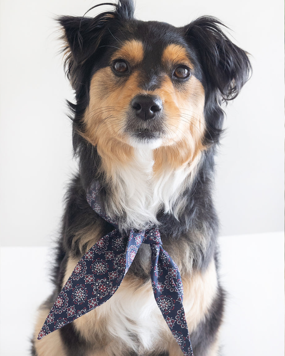 The Classic Necktie