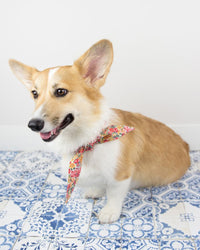 The Classic Necktie