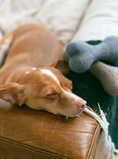 Neutral Woolbone Dog Toy