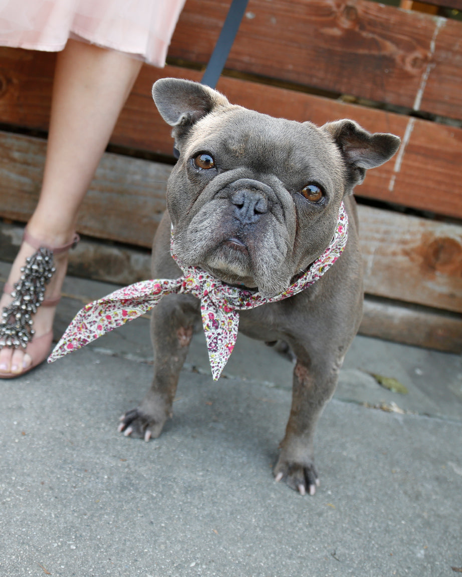 The Classic Necktie