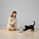 Remote Control Chase Cat Toy