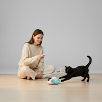 Remote Control Chase Cat Toy