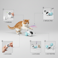 Remote Control Chase Cat Toy