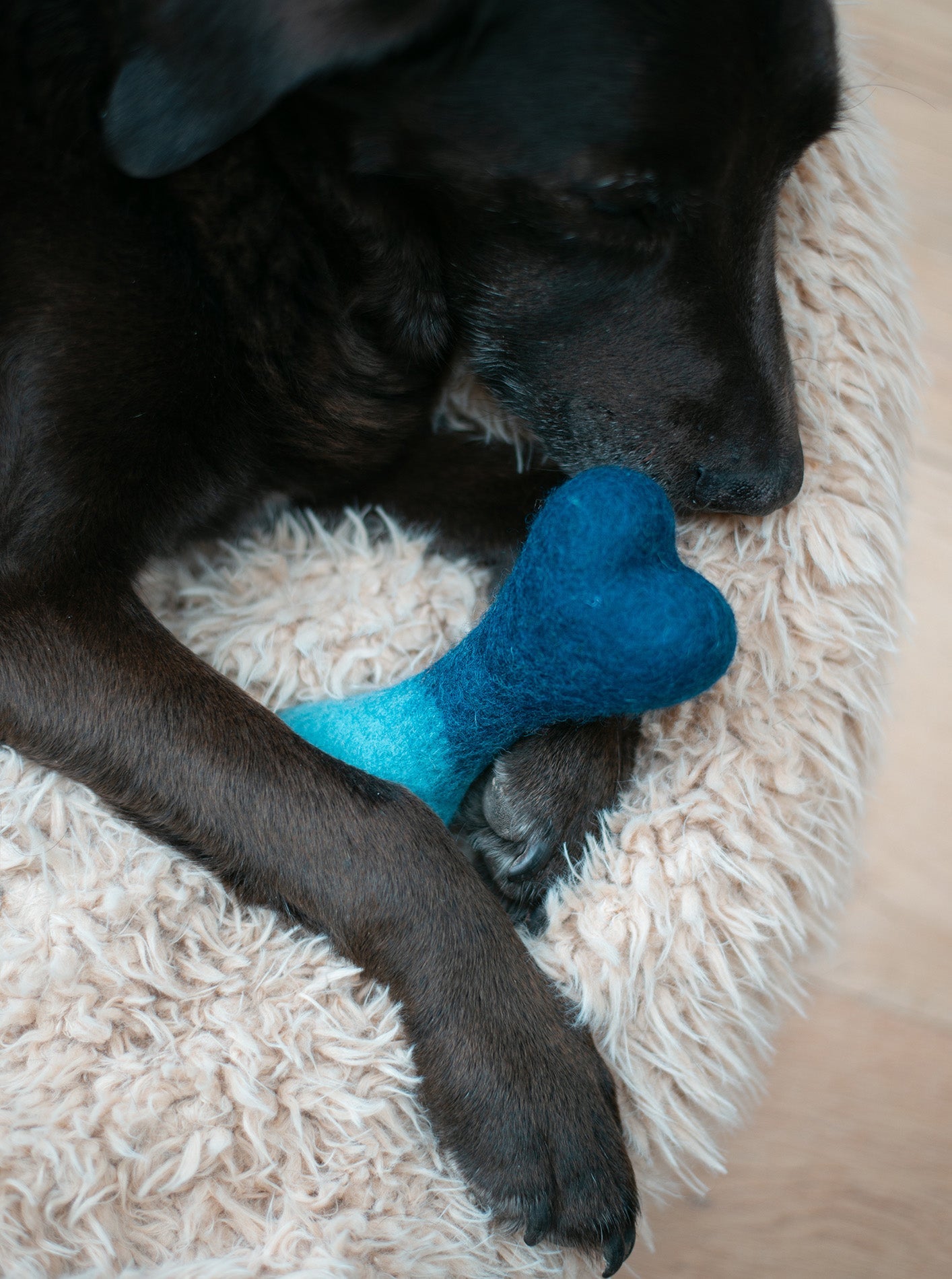 Ombre Woolbone Dog Toy