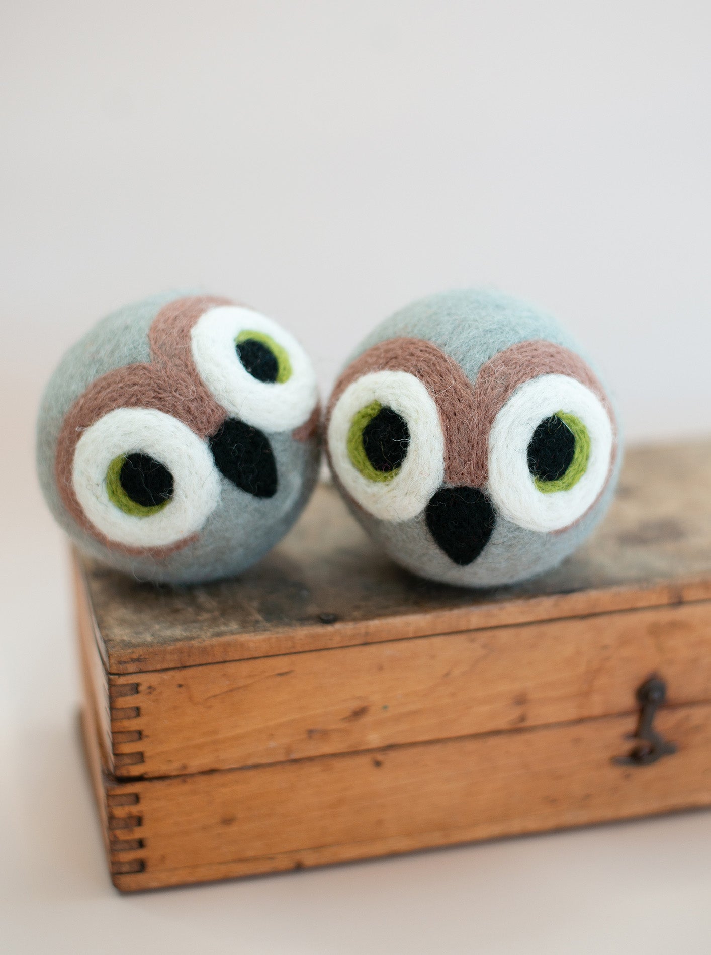Wise Old Owl Beastball Dog Toy
