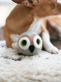 Wise Old Owl Beastball Dog Toy