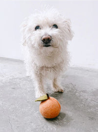 PEACH WOOL DOG & CAT TOY