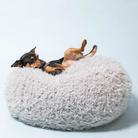 Pod Dog or Cat Bed