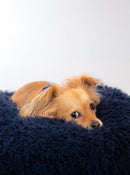 Pod Dog or Cat Bed