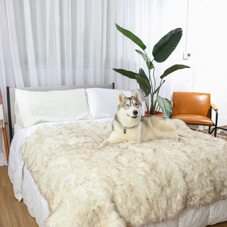 White w/Brown Faux-Fur Waterproof Blanket