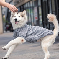 Pet Sweatshirt