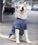 Pet Sweatshirt