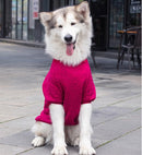 Pet Sweatshirt