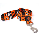 Pumpkin Patch Pet Leash