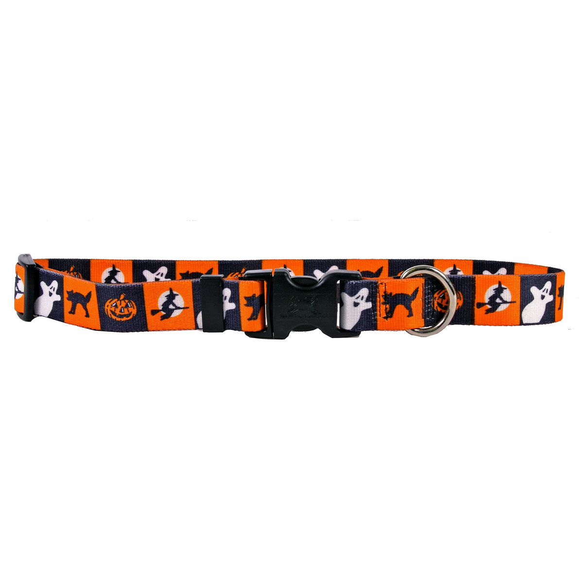 Pumpkin Patch Pet Collar
