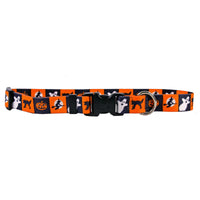 Pumpkin Patch Pet Collar