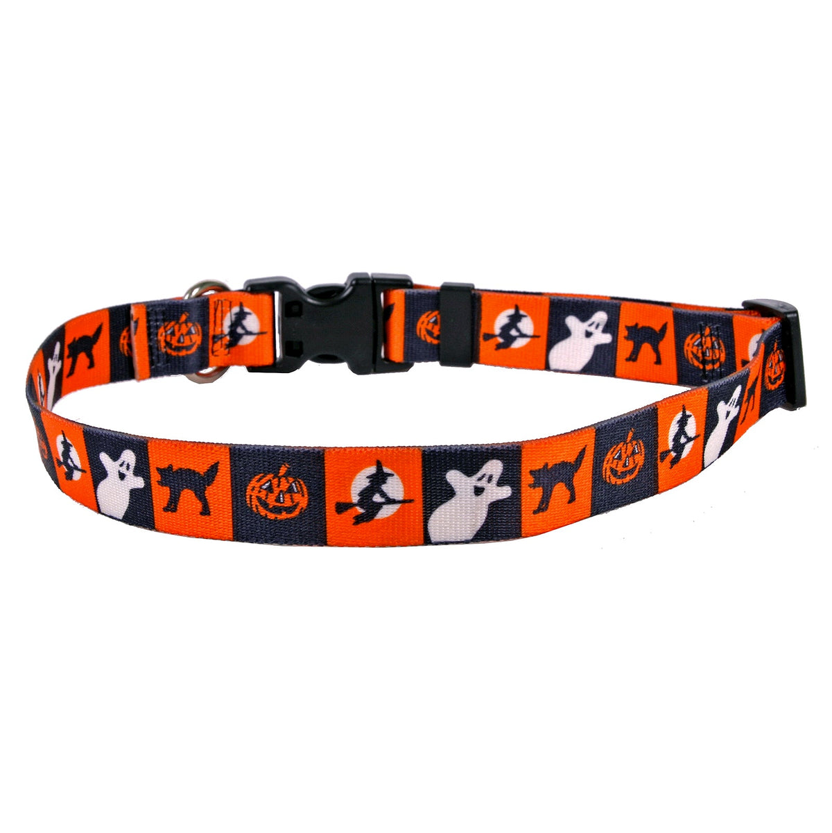Pumpkin Patch Pet Collar