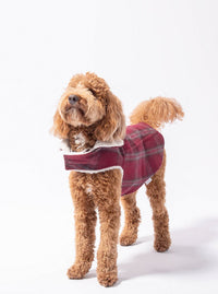 Corduroy Classic Pet Coat by MODERNBEAST