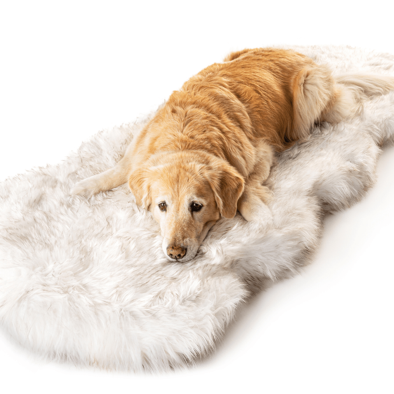 PupRug® Runner Faux Fur Memory Foam Dog Bed: Curve White with Brown Accents