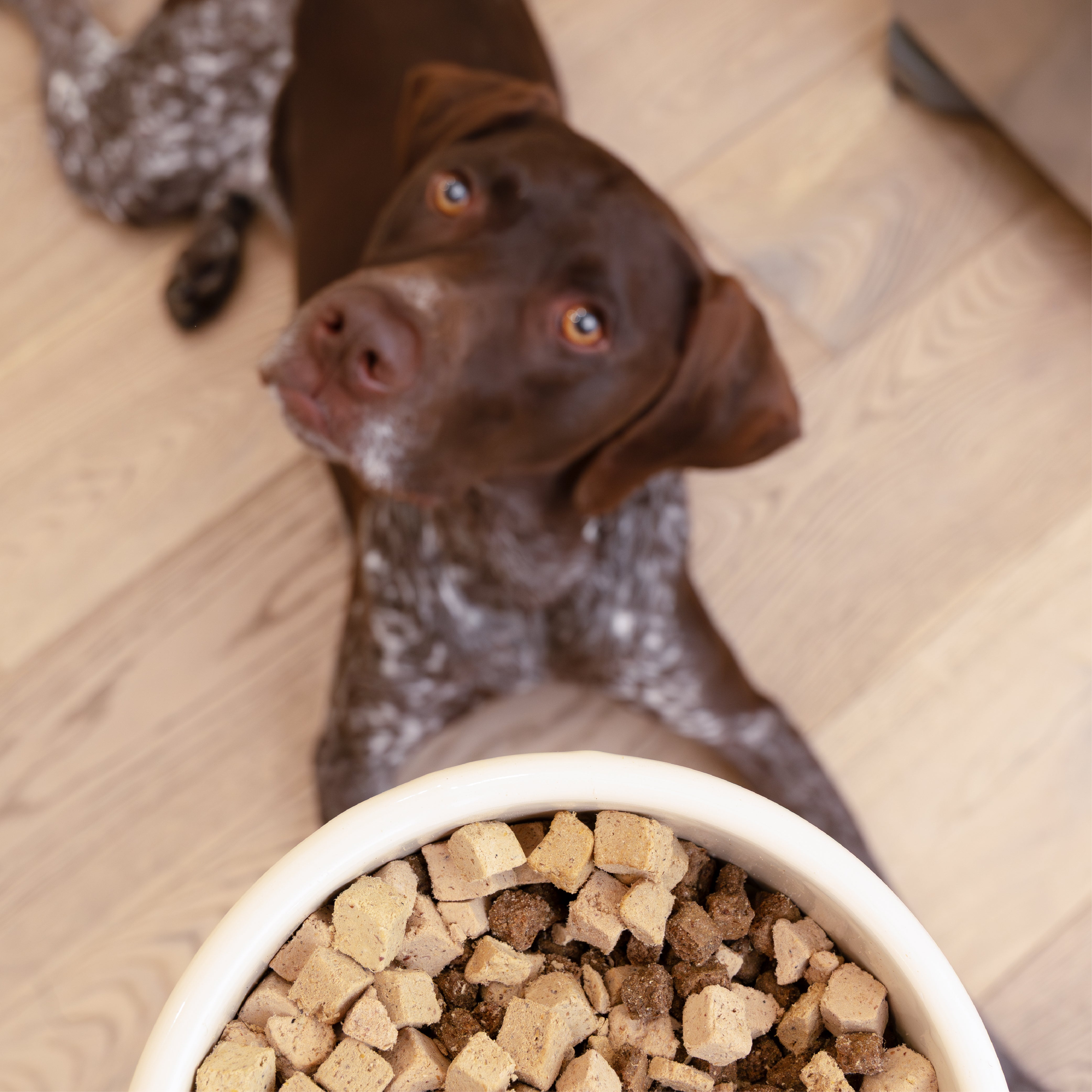 Beef Dog Food Topper - 6.4 oz