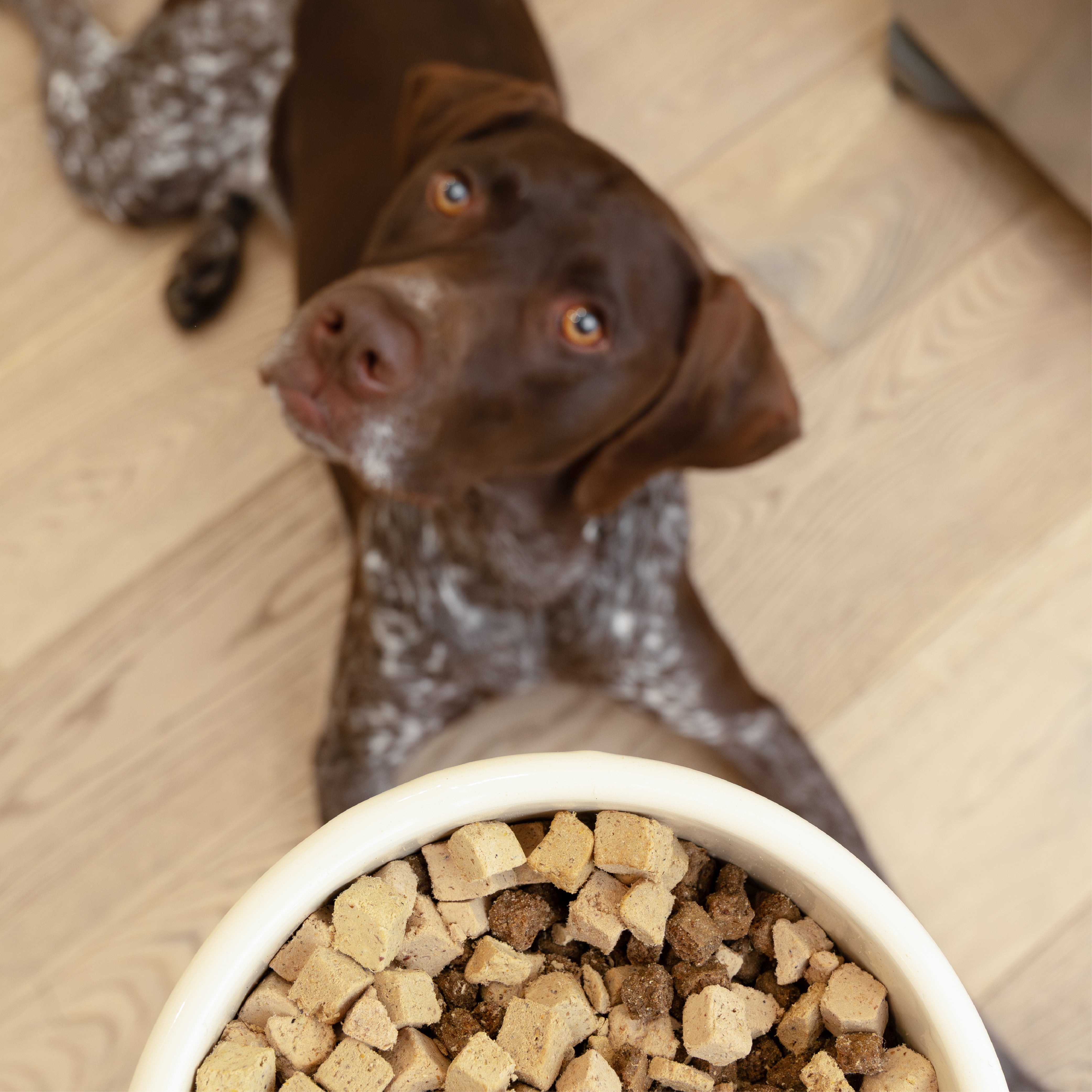 Chicken Dog Food Topper - 6.4 oz