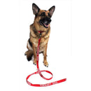 Reflective Nylon Dog Leash: ESA, Service Dog, Adopt Me, Do Not Pet, Therapy Dog