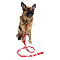 Reflective Nylon Dog Leash: ESA, Service Dog, Adopt Me, Do Not Pet, Therapy Dog