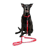 Reflective Nylon Dog Leash: ESA, Service Dog, Adopt Me, Do Not Pet, Therapy Dog