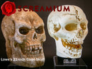 Giant Halloween Skull Animatronic Lamp Prop: 20" Tall, Heavy-Duty