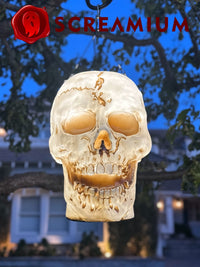 Giant Halloween Skull Pendant Lantern Prop: 20" Tall Outdoor Decoration