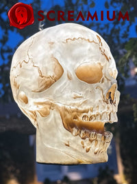 Giant Halloween Skull Pendant Lantern Prop: 20" Tall Outdoor Decoration
