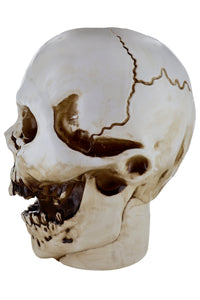 Giant Halloween Skull Animatronic Lamp Prop: 20" Tall, Heavy-Duty
