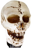 Giant Halloween Skull Animatronic Lamp Prop: 20" Tall, Heavy-Duty